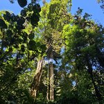 Photo taken by Touraj K