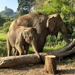 Photo taken by Lorraine B