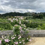 Photo taken by Tracy F