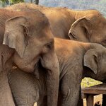 Photo taken by Felice Z