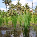 Photo taken by Laurence S