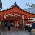 Photo taken by PADMABEN P