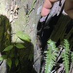 Photo taken by Shanthi V