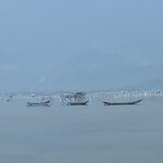 Photo taken by Lindy S