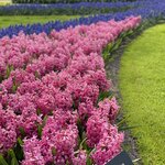 Photo taken by Shannon F