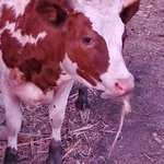 Photo taken by Patricia K