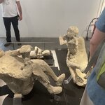 Photo taken by Mary Ellen B