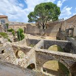 Photo taken by Mollie D