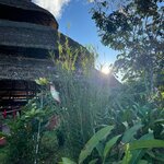 Photo taken by Maggie K