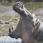 Photo taken by Kristin M