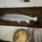 Photo taken by PAUL S