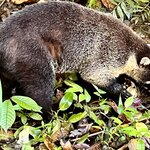 Photo taken by Samantha S