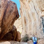 Photo taken by Sarah D