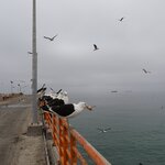 Photo taken by Gianmarco S