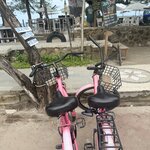 Photo taken by Mary S