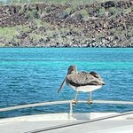 Photo taken by Leah T