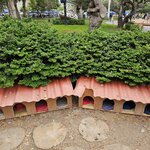 Photo taken by Mariah M