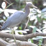 Photo taken by Joyce C