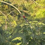 Photo taken by JULIE M