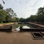 Photo taken by Anisha L