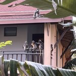 Photo taken by Kelsey S