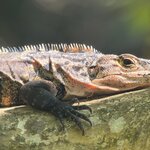 Photo taken by Sushma S