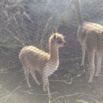 Photo taken by Ashley V