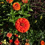 Photo taken by Alex T