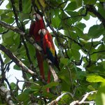 Photo taken by Gill P