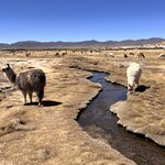 Photo taken by Shirley S