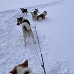 Photo taken by Sandra D