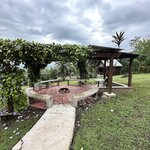 Photo taken by Lisa G