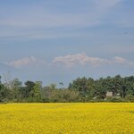 Photo taken by Cayden S