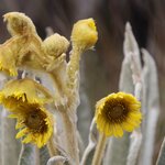 Photo taken by Miranda M