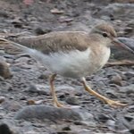 Photo taken by Joyce C