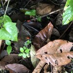 Photo taken by Anna L