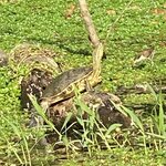 Photo taken by Kim L