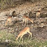 Photo taken by Janie W