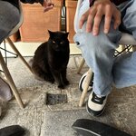 Photo taken by Jones I