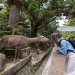 Photo taken by Jessica R