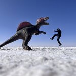 Photo taken by Shirley S