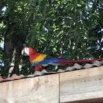 Photo taken by Khaled S