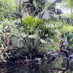 Photo taken by Mathew S