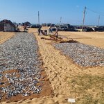 Photo taken by Tanya G