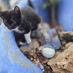 Photo taken by Mike K