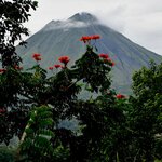 Arenal Volcano from The Springs Resort and Spa | Photo taken by Charles J