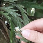 Photo taken by Kathy K