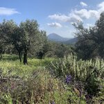 Photo taken by Dorothy H