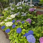 Photo taken by Sherri Z