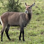 Photo taken by Michael L